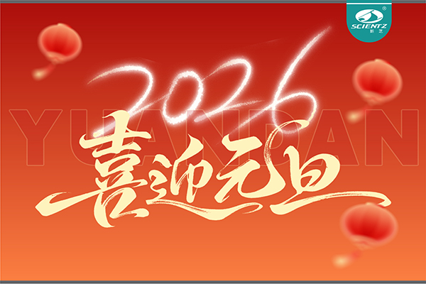 董事长周芳女士新年献词：心有定力，沐光而行