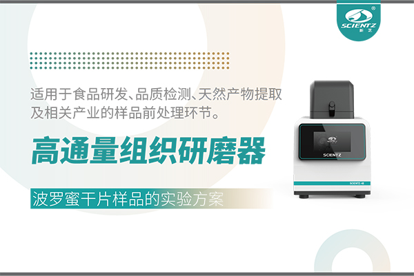 高通量组织研磨器处理波罗蜜干片样品的实验方案