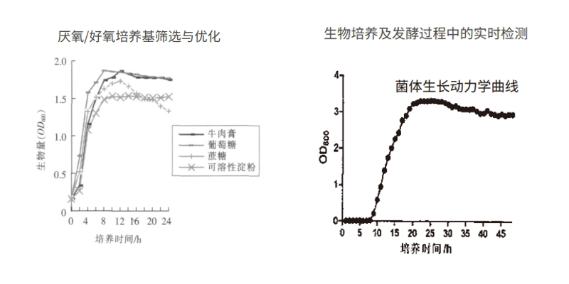 过程安全，结果精准