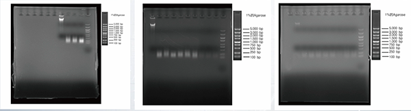 微信图片_20251215131832